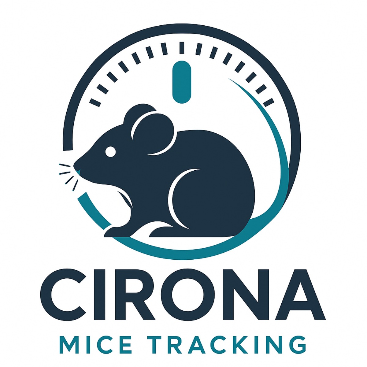 CIRONA Logo